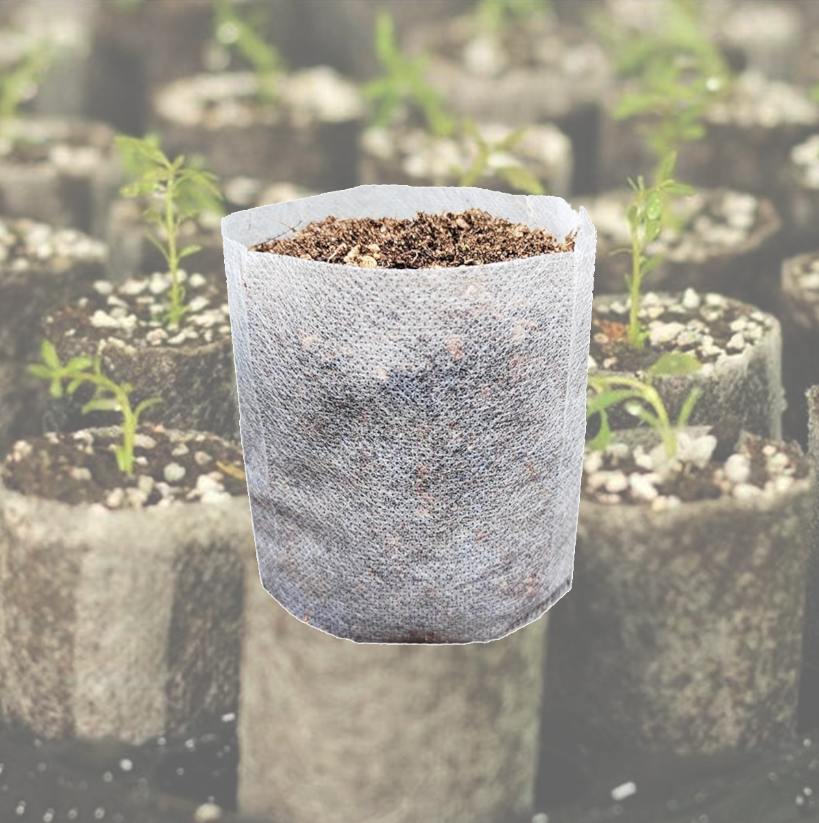 Nursery Growing Bags Non-Woven Pouch for Seed Germination, 5.7" x 5.7 ", 200pcs