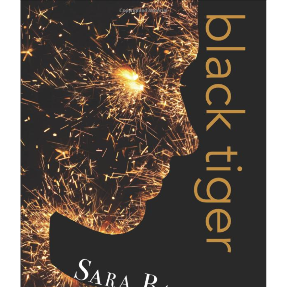 Black Tiger (Black Tiger Series) Paperback – August 26, 2016