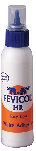 Fevicol MR Squeeze Bottle, 100g