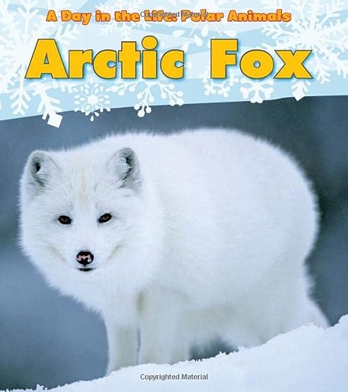 Arctic Fox (A Day in the Life: Polar Animals)