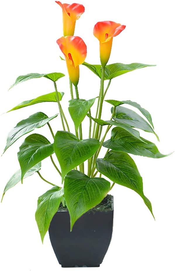 Calla Lily Faux Small Potted Artificial Flower Plant with Black Pot for Home, Office, Indoor and Outdoor Occasions Decor