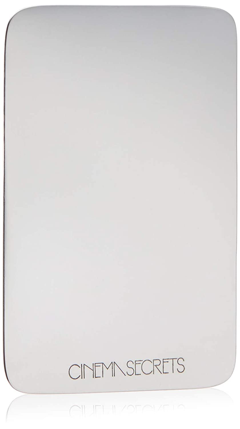 Cinema Secrets Stainless Steel Makeup Palette- Small