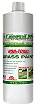 LawnLift Ultra Concentrated Green Grass Paint 16oz (Makes ~1.375 Gal) – Instant Lawn Color Spray (Outdoor, Non‑Toxic)