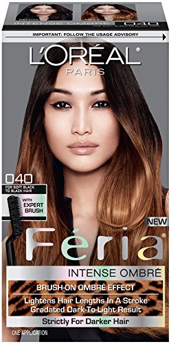 LOreal Paris Feria Brush-On Intense Ombre Effect Hair Color, 040 For Soft Black to Black Hair