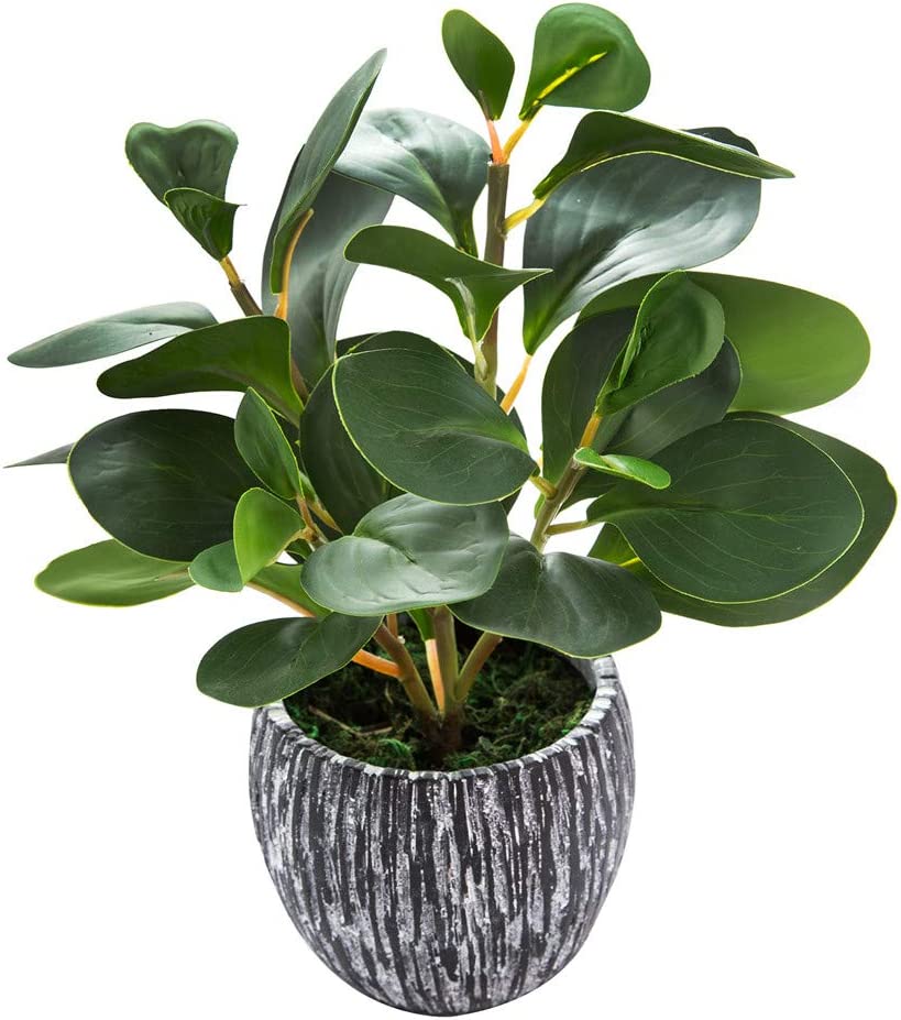 Mini Potted Artificial Fiddle Leaf Fig Plant with Rustic Black Cement Planter for House Office Desk Decor