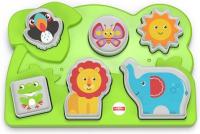 Fisher-Price Infant Ecl Puzzle, Multi-Colour