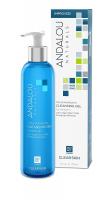Andalou Naturals Citrus Kombucha Cleansing Gel
