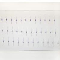 Chick 33 hr, Serial c.s. Microscope Slide