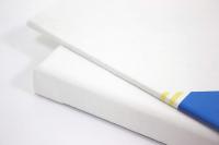 Sargent Art 90-3000 6x8 Inch Canvas Panel, 100% Co