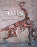 Bringing Fossils To Life: An Introduction To Paleo