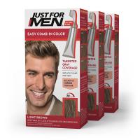 Just For Men Easy Comb-In Color Mens Hair Dye Ligh