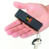Worlds Smallest Guard Dog Hornet Keychain Stun Gun