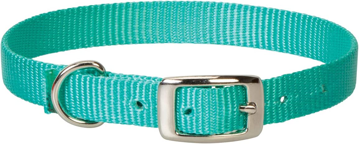 Weaver Livestock Goat Collar - Mint